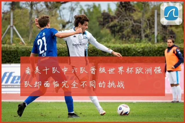 南美十队中六队晋级世界杯欧洲强队却面临完全不同的挑战