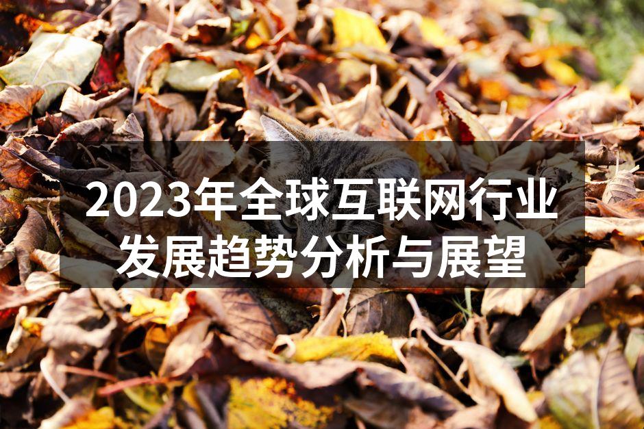 2023年全球互联网行业发展趋势分析与展